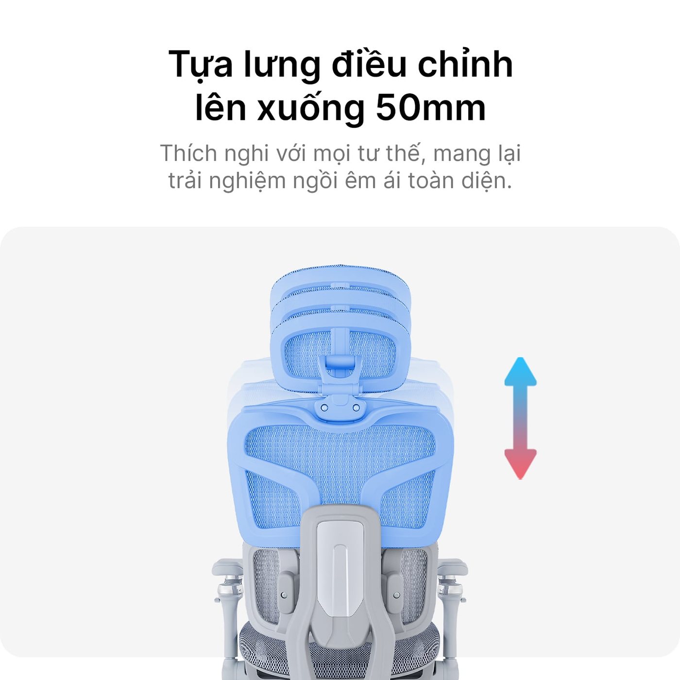 Lưng tách ba vùng, có bốn lò xo phía sau