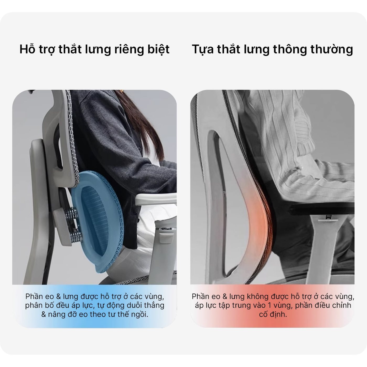 Lưng tách ba vùng, có bốn lò xo phía sau