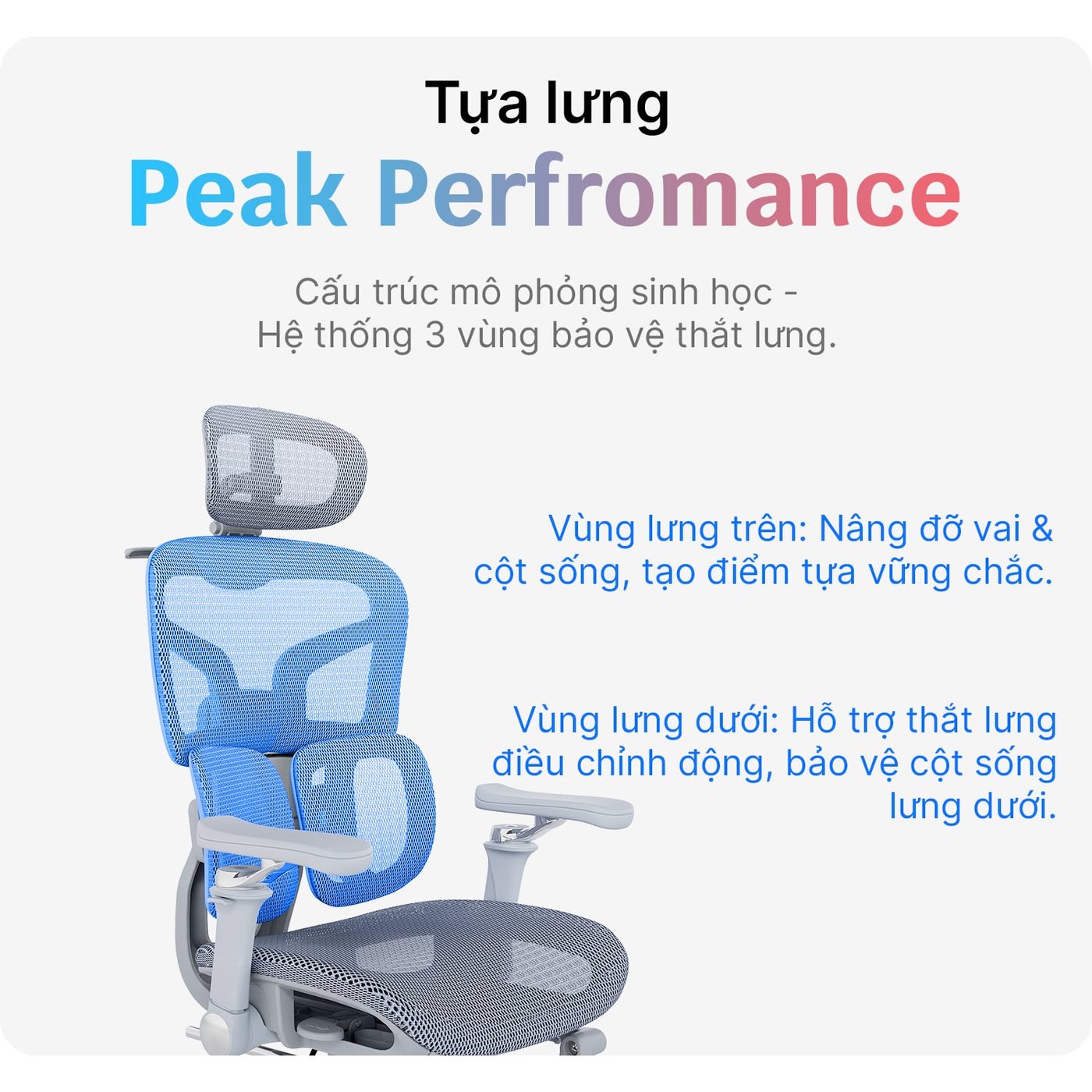 Lưng tách ba vùng, có bốn lò xo phía sau