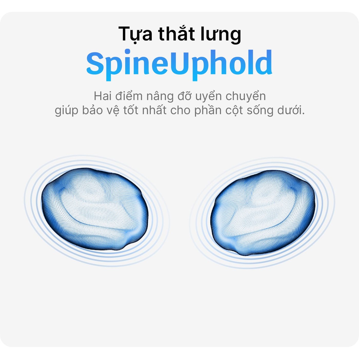 Tựa thắt lưng chỉnh bằng hai núm xoay