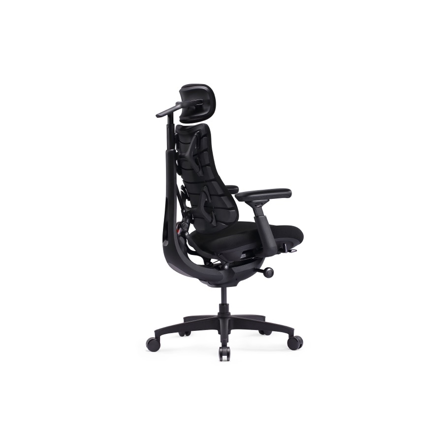 LiberNovo Omni · ảnh 2